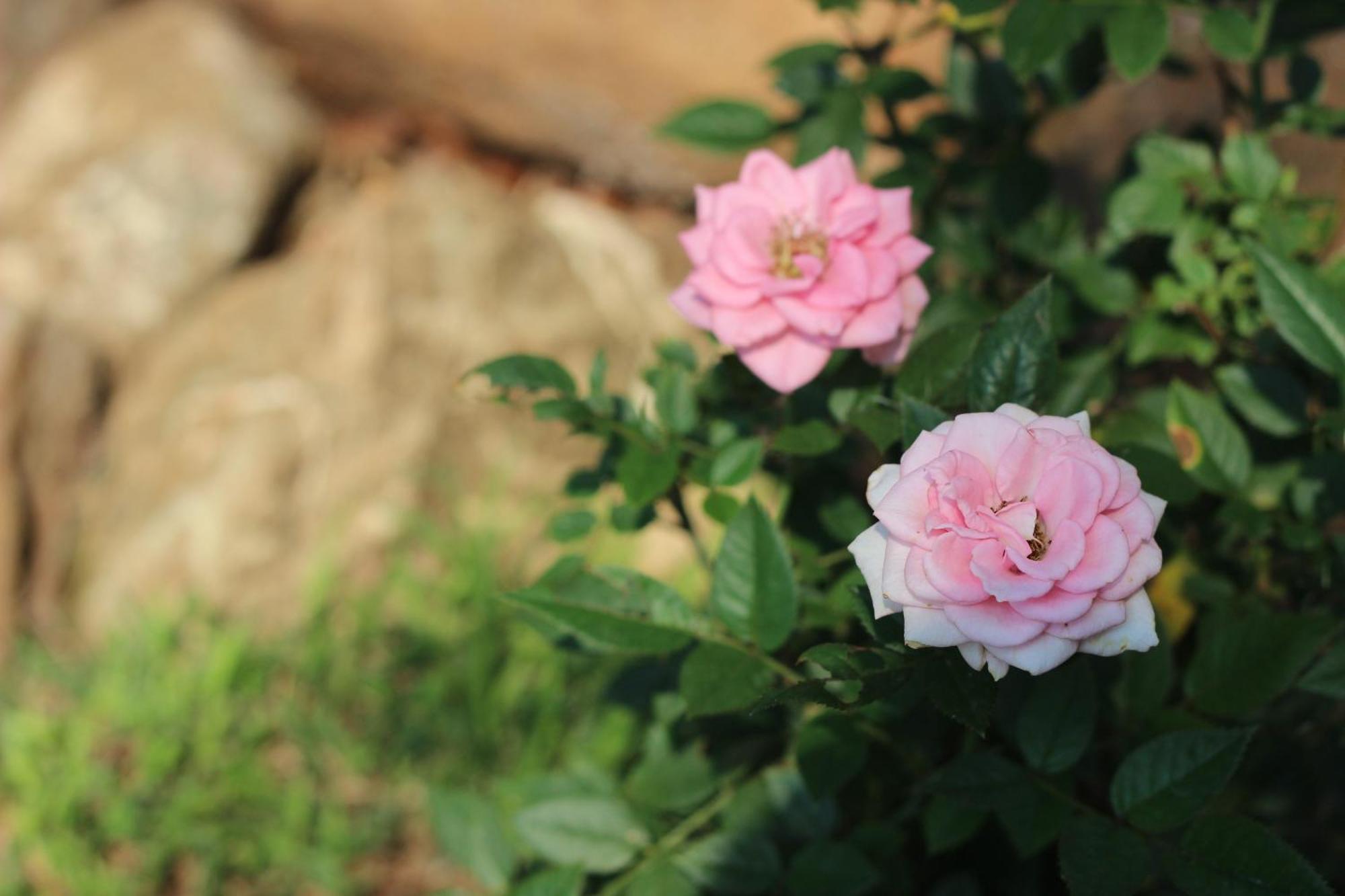 Ecolux Boutique Hotel Komatipoort Εξωτερικό φωτογραφία